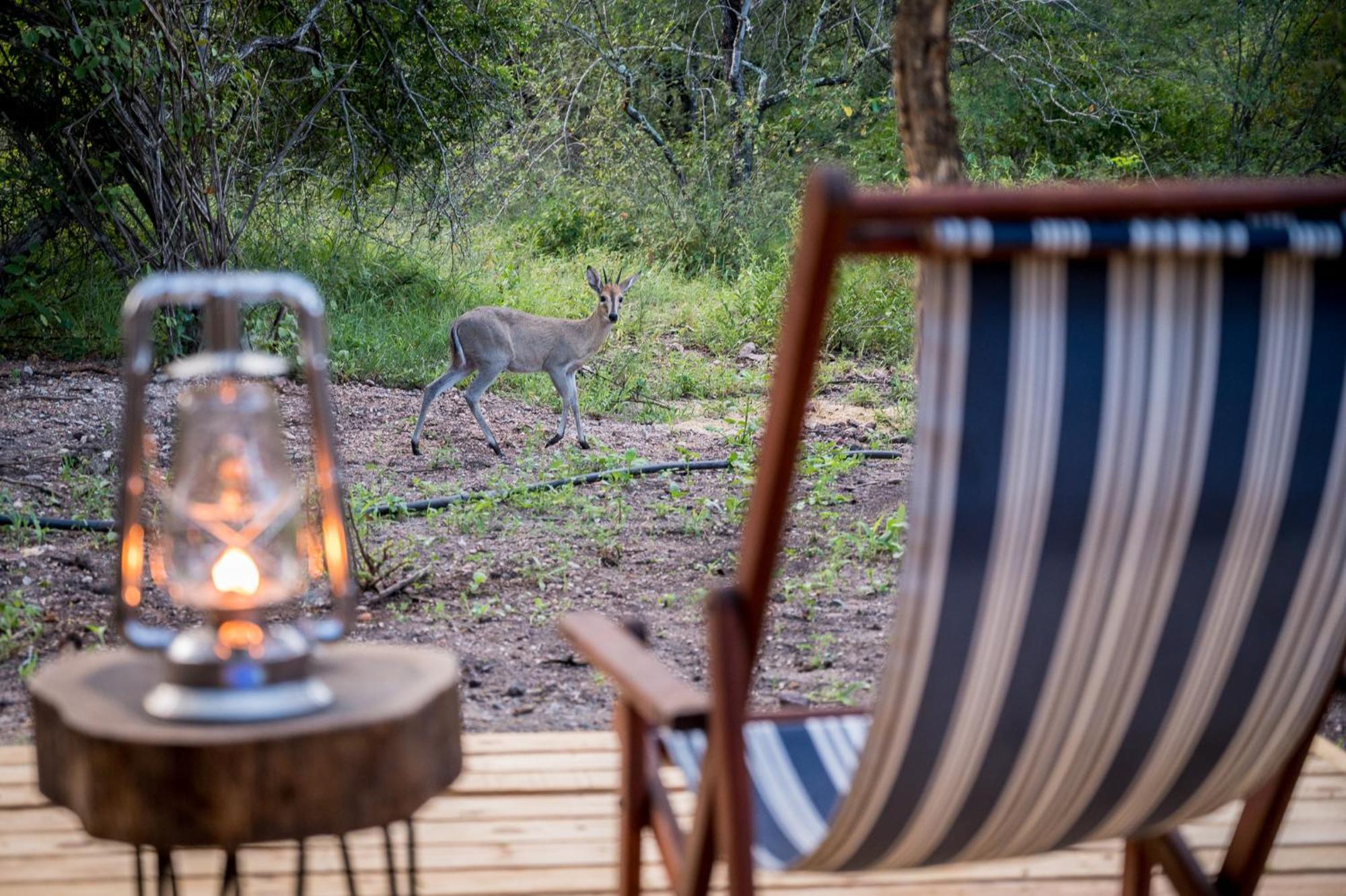 Bosveld Villa Marloth Park Exteriör bild